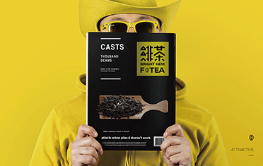 三门峡绯茶品牌设计